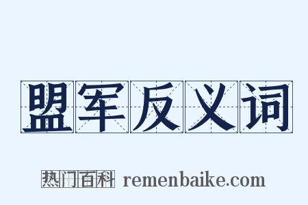 盟军反义词是什么意思的图片